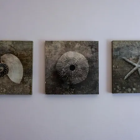 Affittacamere Lisbonera